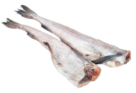 Raw pollackの写真素材