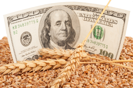 Agricultural income conceptの写真素材