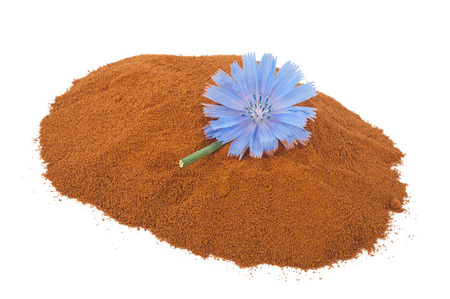 Blue chicory flower and powder of instant chicoryの写真素材
