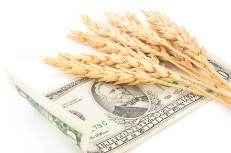 Wheat ears and money