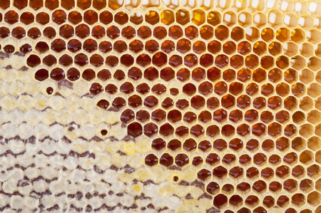 Honeycomb background