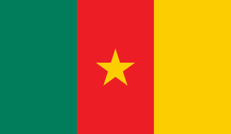 Cameroon flag illustration.のイラスト素材