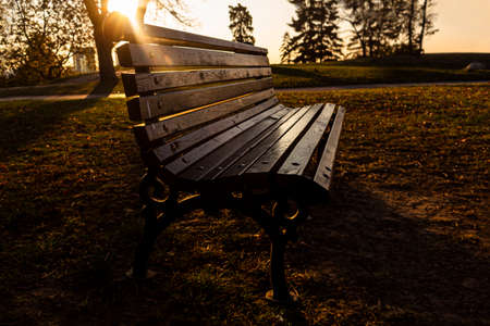 Bench at sunset in autumn at city park shined by the sun. Golden hour sunsetの写真素材
