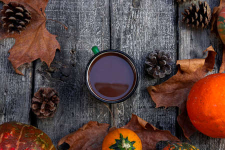 Hot chocolate in rustic Mug against autumn background of pumpkin, fall colorful leaves, fall...