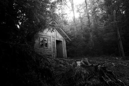 Wooden cabin in the woods at Tara mountain in Serbia