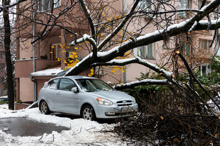 BELGRADE, Serbia - December 13, 2021 - Tree fell on the car and crushed it due to heavy snow storm in Belgrade, Serbiaのeditorial素材