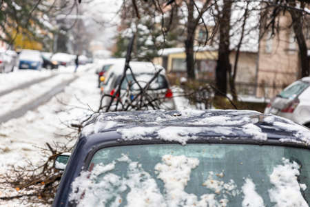 Tall Tree fell on the car and crushed it due to heavy snow stormの写真素材