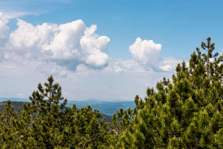 Divcibare mountains in Serbia with amazing sky with white fluffy clouds