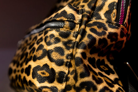 Female leather purse with leopard print on itの写真素材