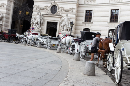 Vienna, Austria - July 6, 2018: Horses and horse carriage in Hofburg palace at Michaelerplatz in the city center of Vienna, Austriaのeditorial素材