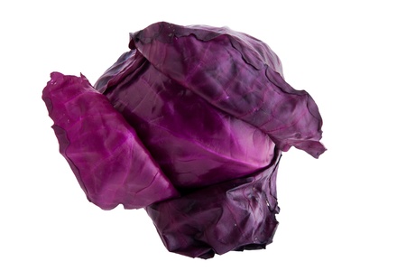 Red brassica cabbage isolated on whiteの写真素材