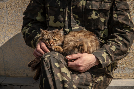 BELBEK, UKRAINE - March 21, 2014 Soldier patting a cat on the last day of the Ukrainian military base A4515のeditorial素材