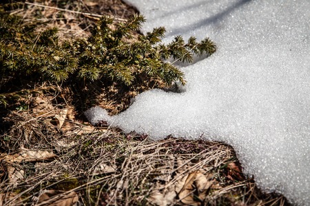 Early spring high in the Crimean mountainsの写真素材