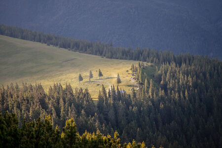 Nice weather on  summer day in Carpathian mountainsの写真素材