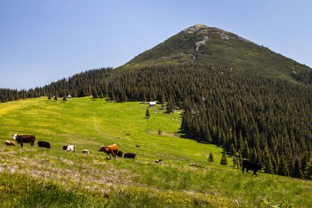 Pretty range of mountains high altitude tourism