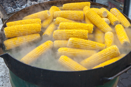 Multiple boiled corns on the cob in big pot