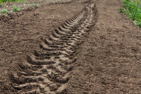 Farm tractor tracks in the field after agricultural worksの写真素材