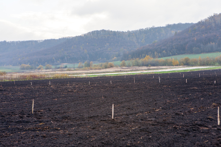 Agriculture cultivated field prepared for planting cropsの写真素材