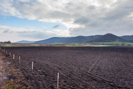 Agriculture cultivated field prepared for planting cropsの写真素材