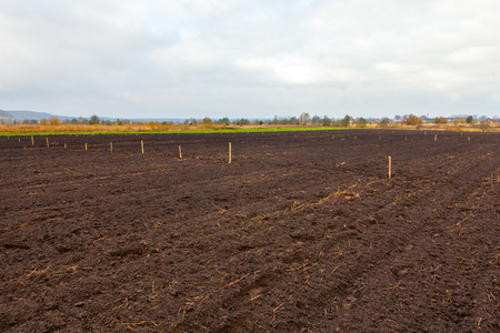 Agriculture cultivated field prepared for planting cropsの写真素材
