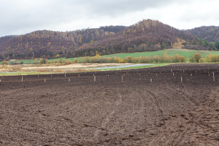 ploughed agriculture field cultivated and prepared for planting seedlings samplingsの写真素材