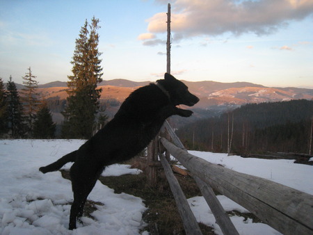 Winter polonina,の写真素材
