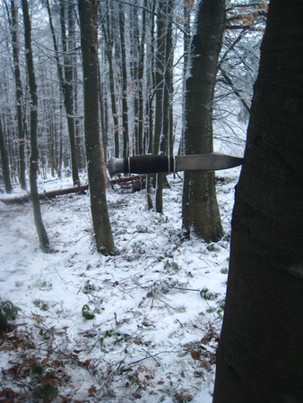 Frosty Morning,の写真素材