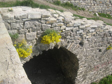 Flowers on the Wall,のeditorial素材