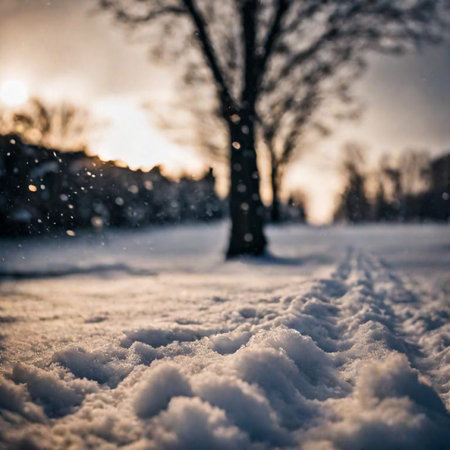 winter landscape with trees and snowの素材