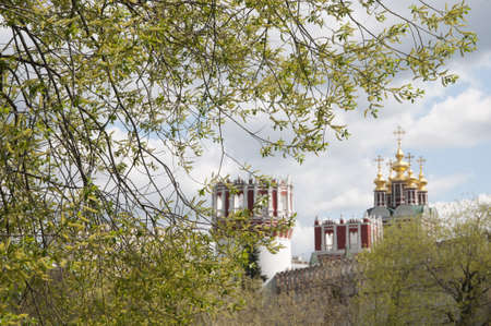 Novodevichiy monastery towers and church, focus on the willowの写真素材