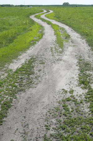 Dirt road in a grass field, sunny dayの写真素材