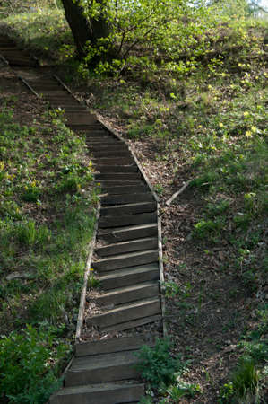 Old wooden ladder on the bent of a hillの写真素材
