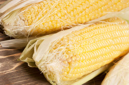 Corn cobs (maize), closeup shot, local focus