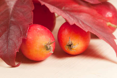 Crab (Paradise) apples on a wood board, autumn picture, macro