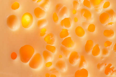Cheese holes with back lighting, macro shotの写真素材