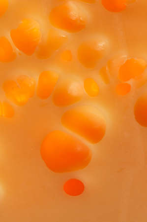 Cheese holes with back lighting, macro shotの写真素材