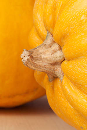 Pumpkins close up shot, local focusの写真素材