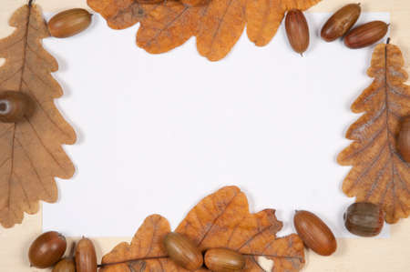 Autumn leaves and acorns frame border background  with the place for text. Top view.の写真素材
