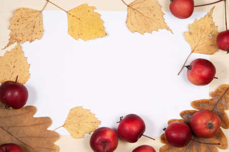 Autumn leaves and apples frame border background  with the place for text. Top view.の写真素材