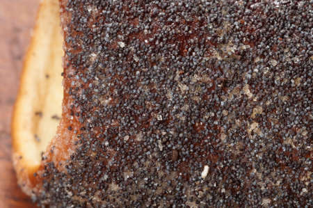 TrdelnÃ­k with poppy seeds, close up shot