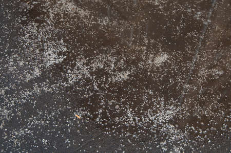 Deicing chemicals on asphalt road in Moscow
