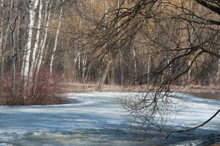 Landscape with a pond in Sokolniki park, Moscowの写真素材
