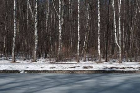Early spring in a park, Sokolniki reservation park, Moscowの写真素材