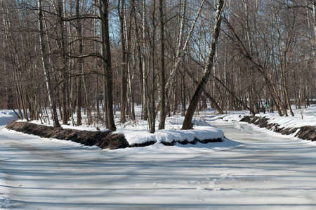 Early spring in a park, Sokolniki reservation park, Moscowの写真素材
