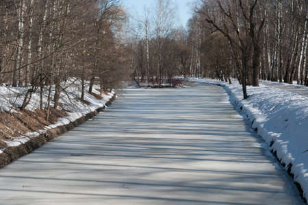 Early spring in a park, Sokolniki reservation park, Moscowの写真素材