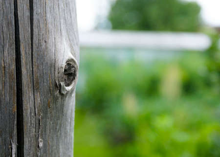 Old wooden cracked post with a large knot. Close-up on blurred green grass background. Selective focusの写真素材