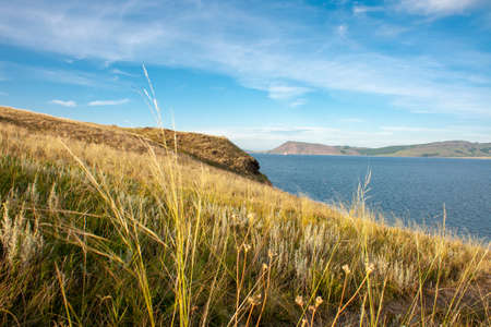 Close-up fescue on a steep bank on a sunny summer day. Beautiful landscape with a river and mountains in the background. Selective focusの写真素材