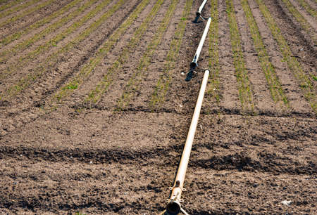 irrigation system in the field in early springの写真素材