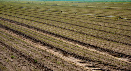 ploughed soil on a sunny day in early spring