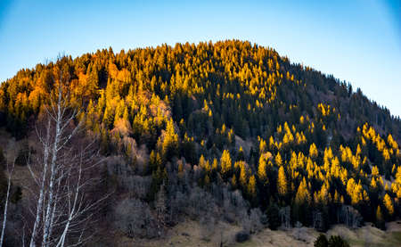 mountain landscape at sunset in early springの写真素材